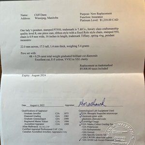 Tiffany&Co. Lady's Platinum and Diamond Bow Pendant (PT950)